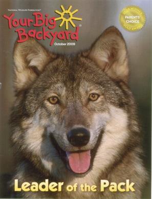 Your Big Backyard Magazine